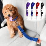 ceinture de sécurité pour chien voiture - Vignette | laisse pour chien. fr