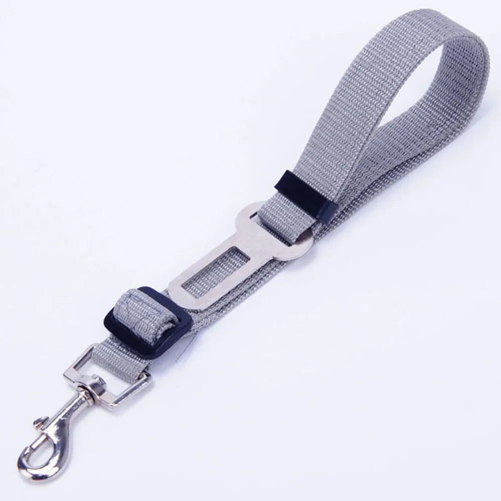 ceinture de securite nylon gris