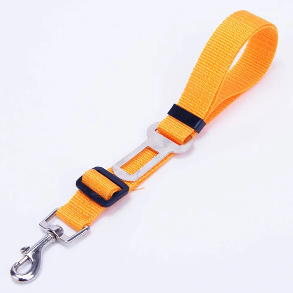 ceinture de securite nylon orange