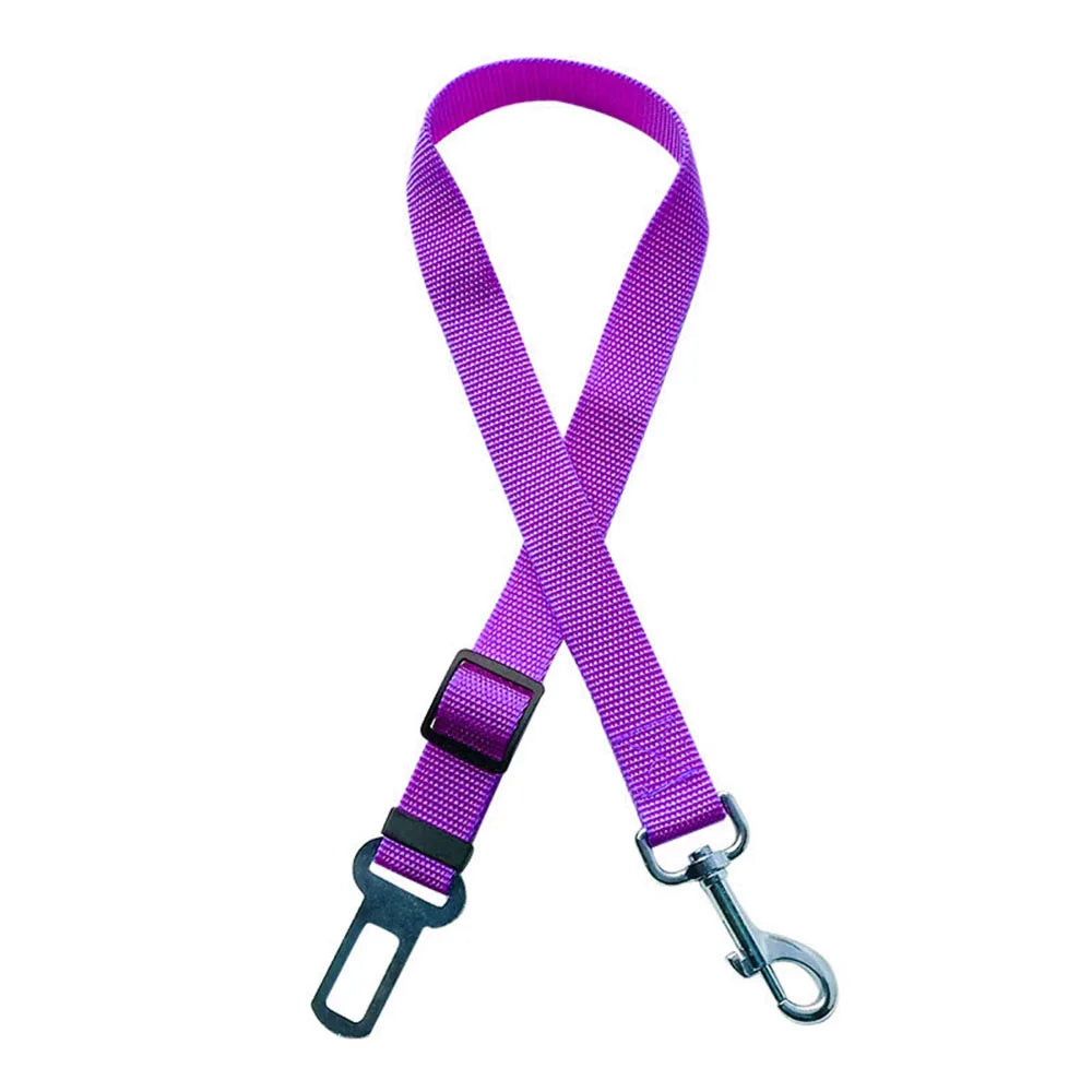 ceinture de securite nylon violet