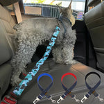 ceinture de sécurité pour chien voiture - Vignette | laisse pour chien. fr