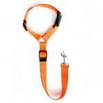 laisse ceinture de sécurité pour chien voiture - Vignette | laisse pour chien. fr