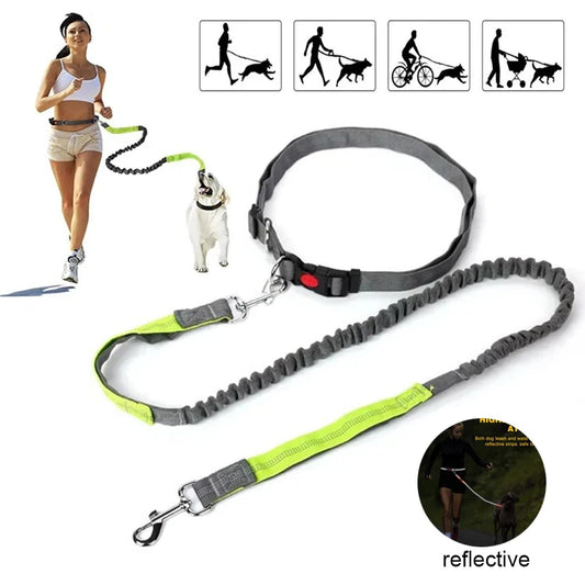 ceinture et laisse elastique reflechissante pour courir