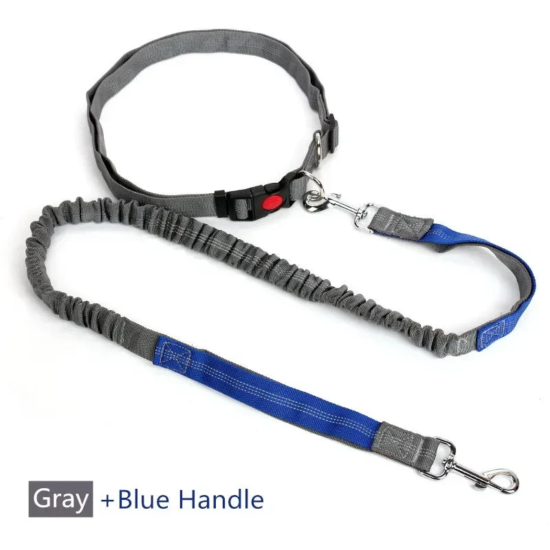 ceinture et laisse elastique reflechissante pour courir bleu