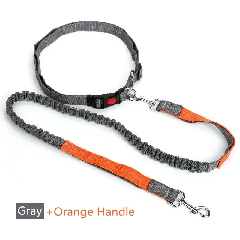 ceinture et laisse elastique reflechissante pour courir orange