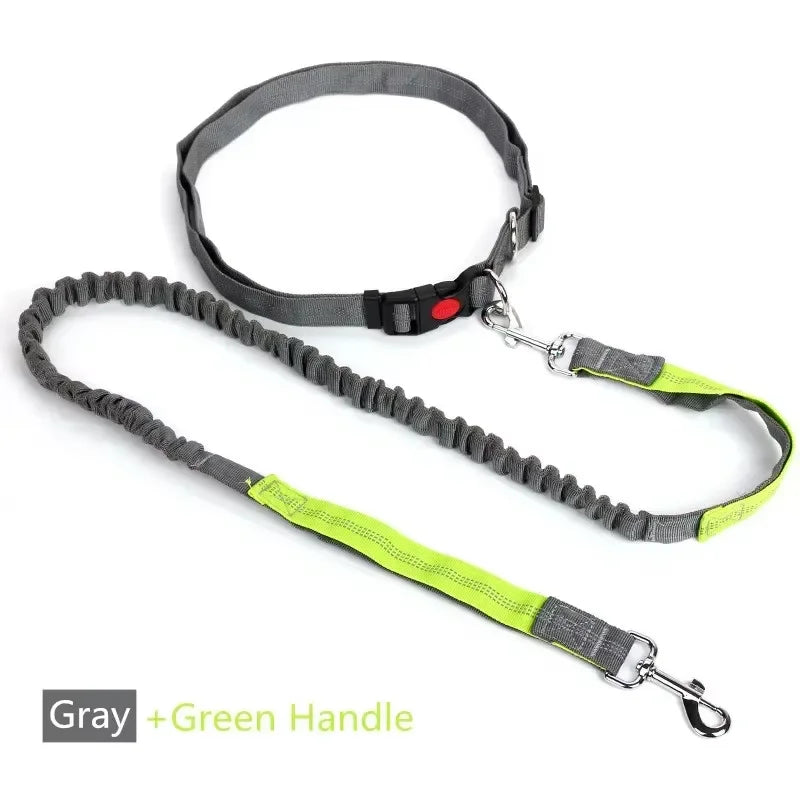ceinture et laisse elastique reflechissante pour courir  vert