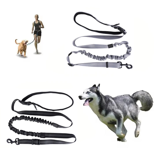 ceinture et laisse pour courir