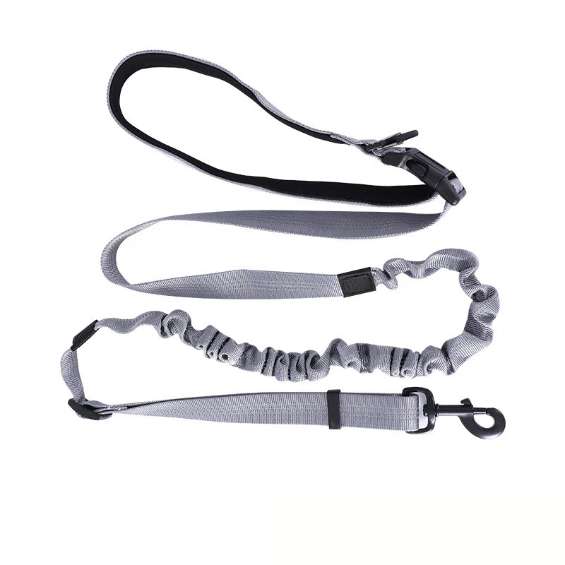 ceinture et laisse pour courir gris