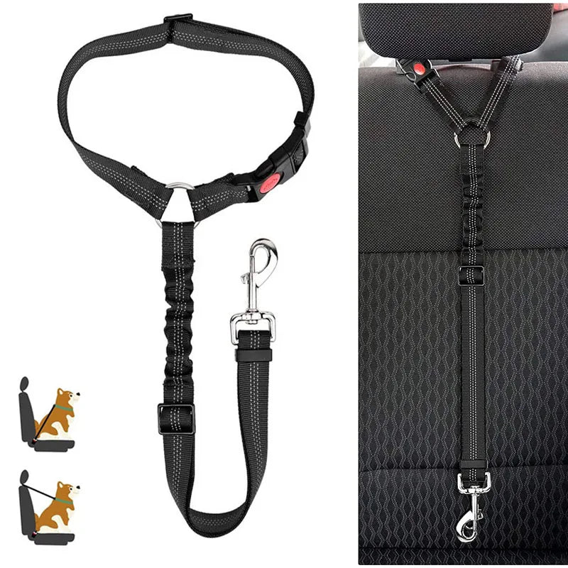 ceinture securite elastique
