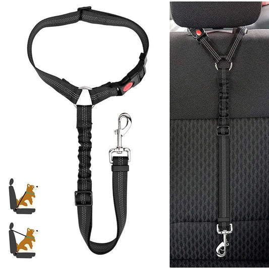 ceinture securite elastique