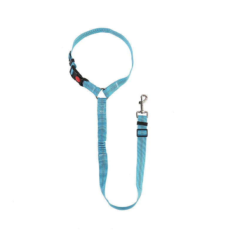 ceinture securite elastique bleu ciel