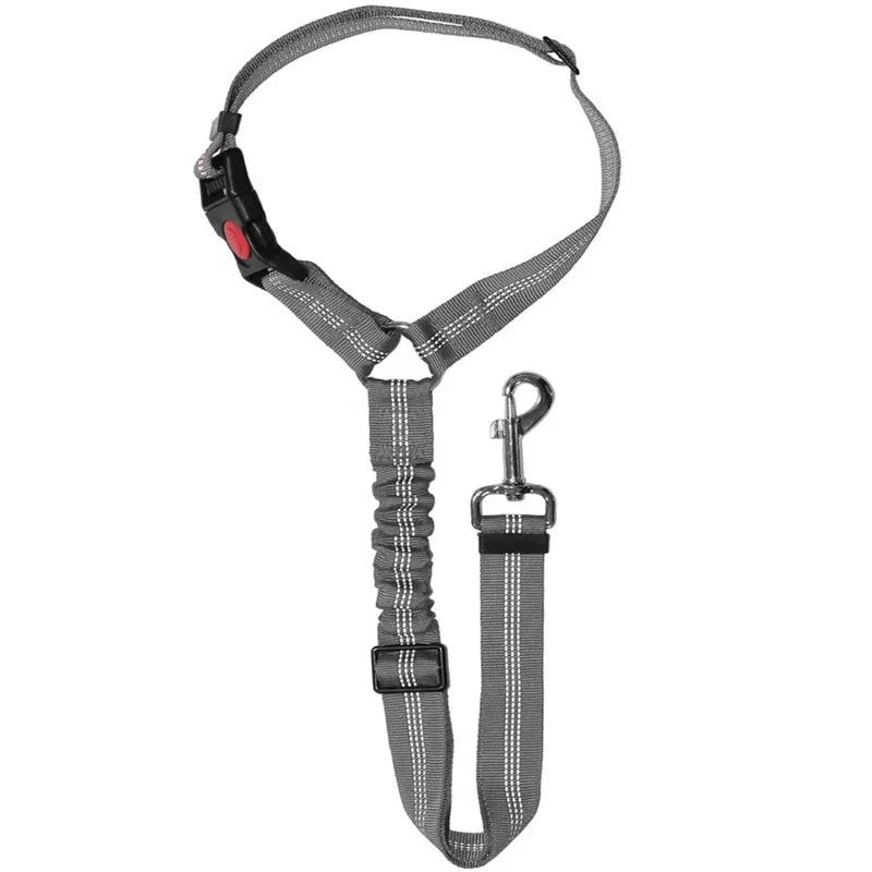 ceinture securite elastique gris