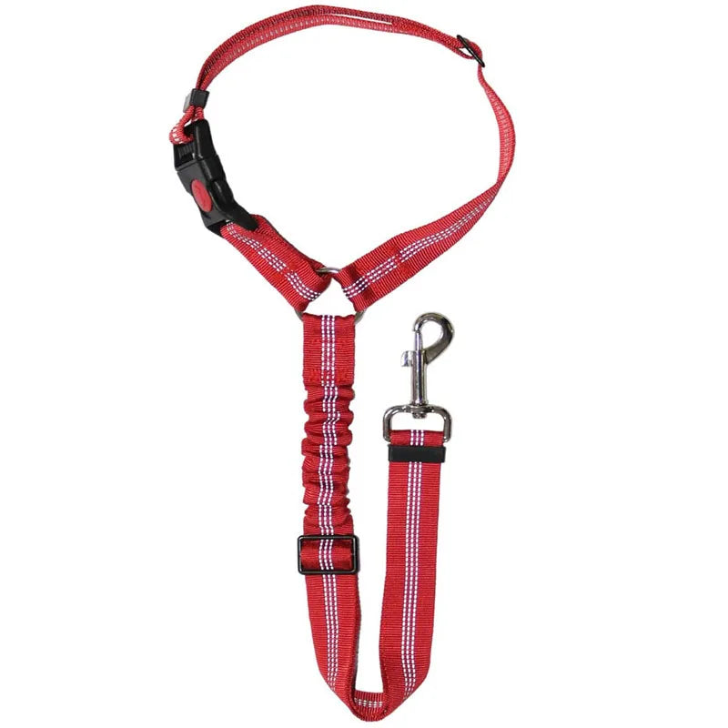 ceinture securite elastique rouge