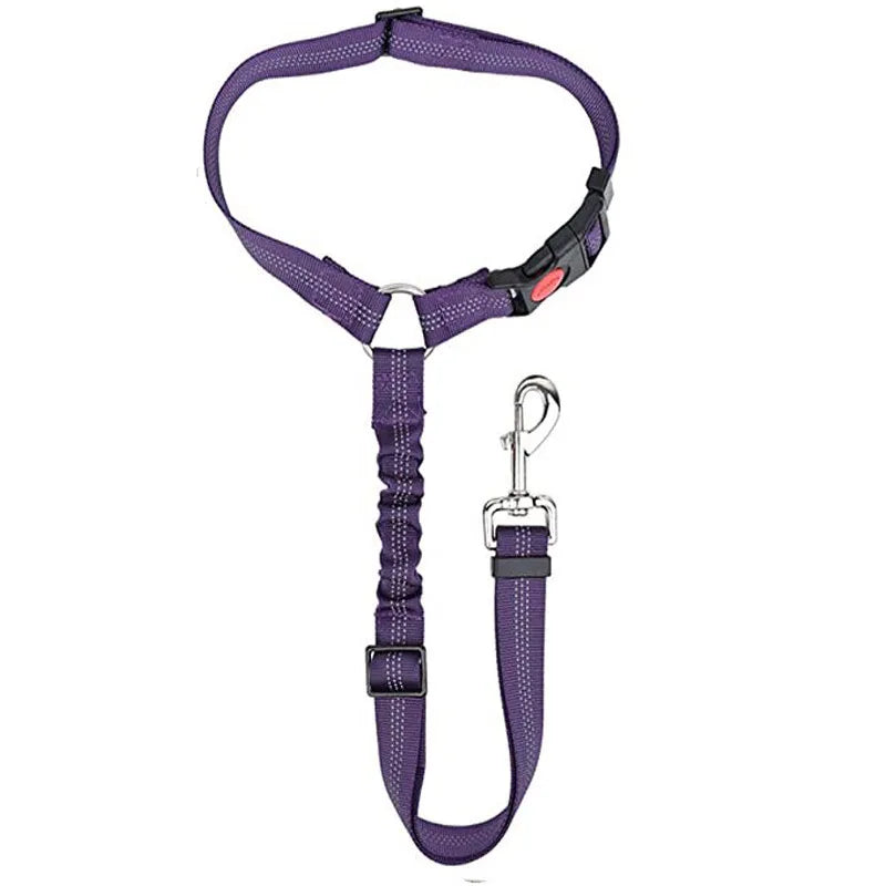 ceinture securite elastique violet