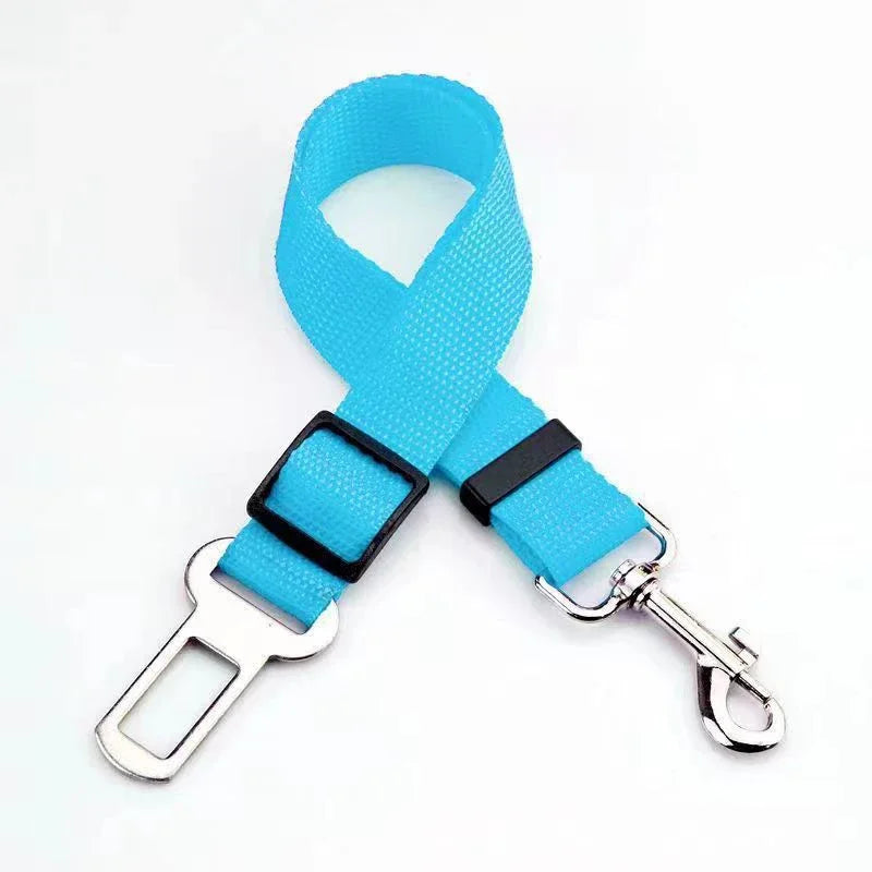ceintures de securite bleu ciel