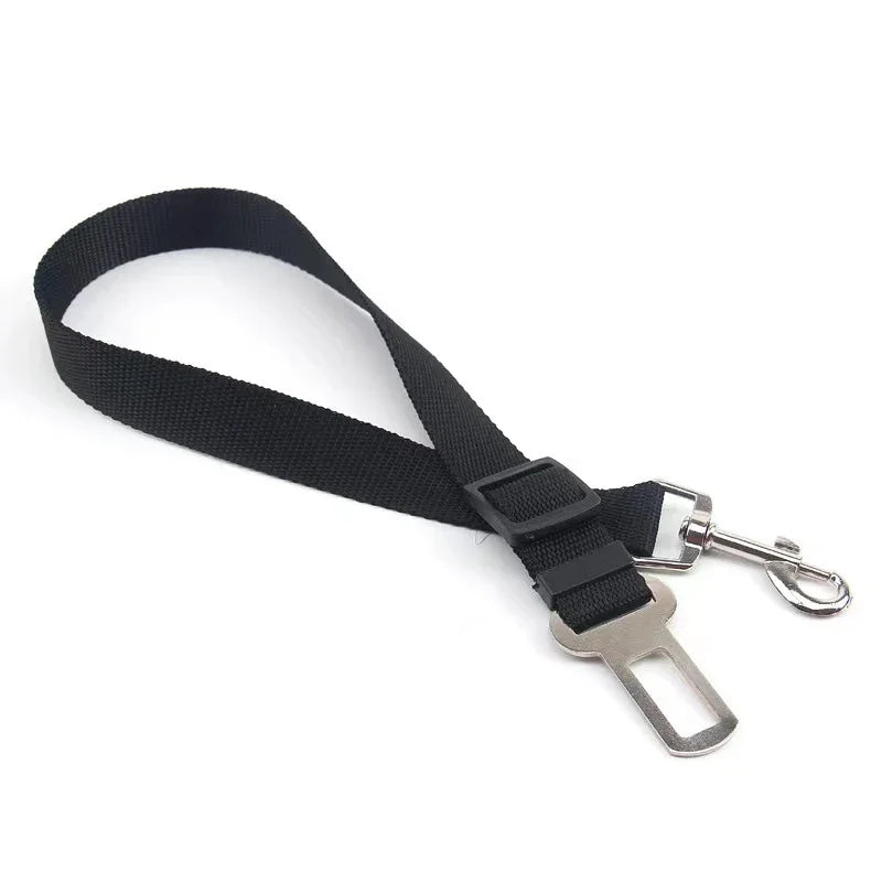 ceintures de securite noir