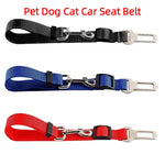 ceinture de sécurité pour chien voiture - Vignette | laisse pour chien. fr