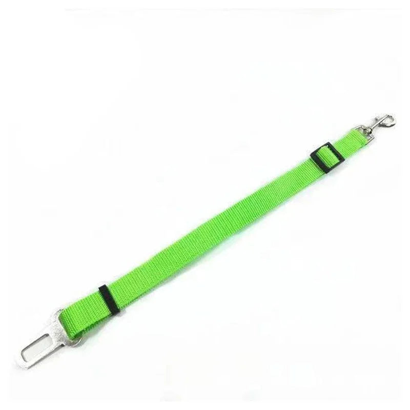 ceintures de securite vert