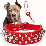 collier et laisse en cuir pour chien - Vignette | laisse pour chien. fr