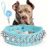 collier et laisse en cuir pour chien - Vignette | laisse pour chien. fr