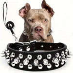collier et laisse en cuir pour chien - Vignette | laisse pour chien. fr