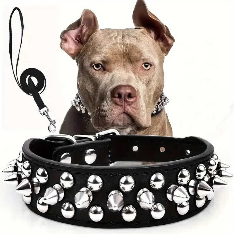 collier a pointes et laisse noir