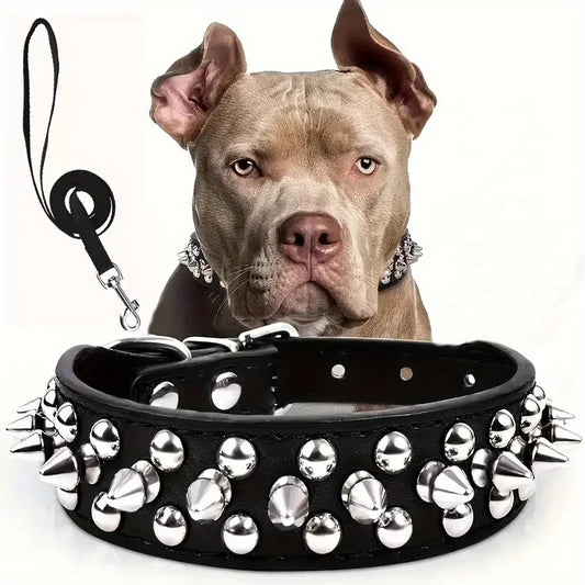 collier a pointes et laisse noir