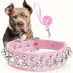 collier et laisse en cuir pour chien - Vignette | laisse pour chien. fr