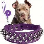 collier et laisse en cuir pour chien - Vignette | laisse pour chien. fr