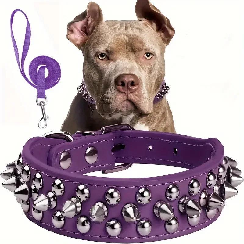 collier a pointes et laisse violet