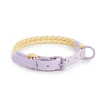 Laisse et collier corde - Vignette | laisse pour chien. fr