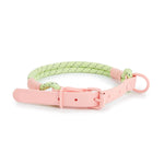 Laisse et collier corde - Vignette | laisse pour chien. fr