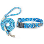 Collier et laisse motifs - Vignette | laisse pour chien. fr