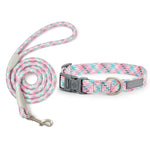 Collier et laisse motifs - Vignette | laisse pour chien. fr