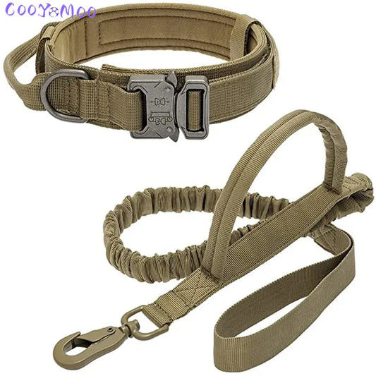 collier et laisse elastique double poignee 