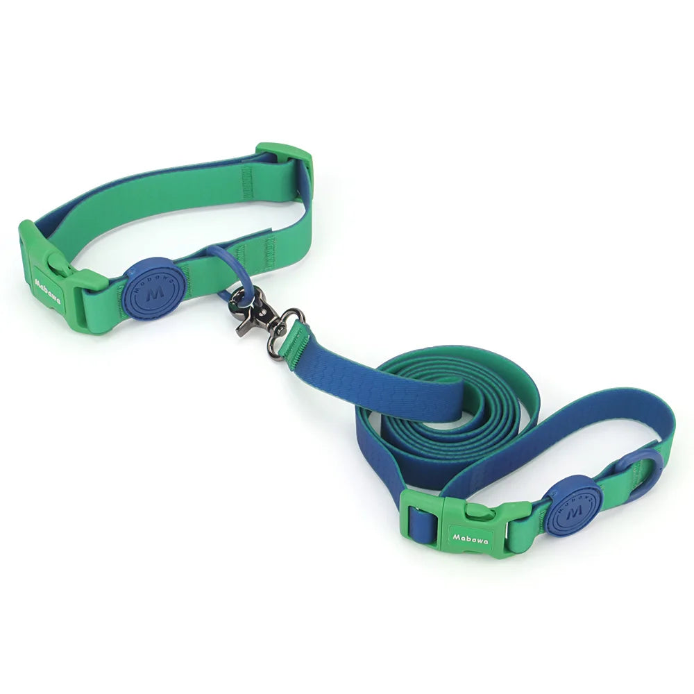 collier et laisse en nylon bi couleur bleu et vert
