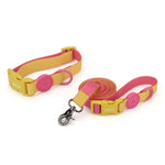 collier et laisse pour chien - Vignette | laisse pour chien. fr