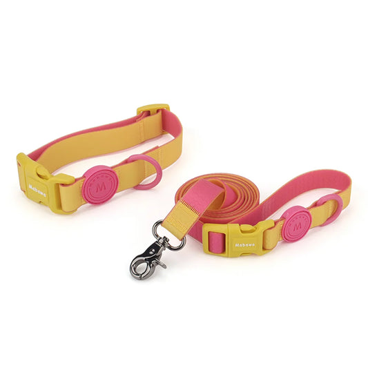collier et laisse en nylon bi couleur jaune et rose