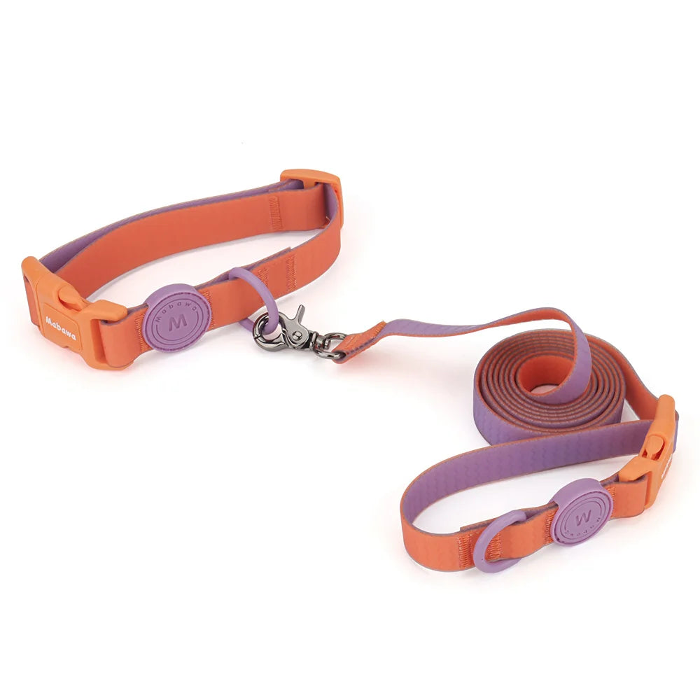 collier et laisse en nylon bi couleur orange et violet