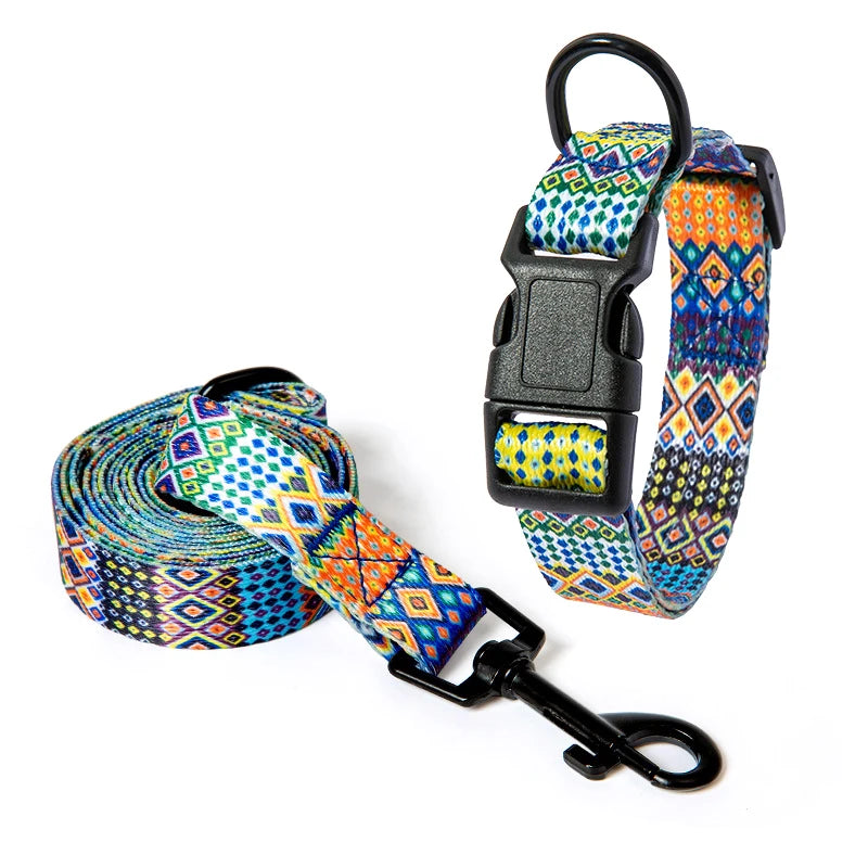 collier et laisse imprime multi couleur.