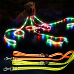 collier et laisse pour chien lumineux - Vignette | laisse pour chien. fr