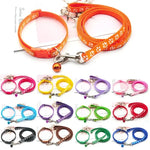 collier et laisse pour petit chien - Vignette | laisse pour chien. fr