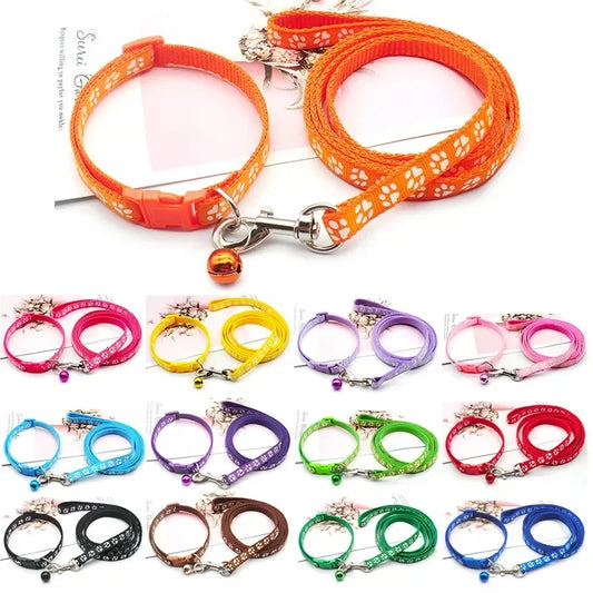 collier et laisse nylon 1,20m