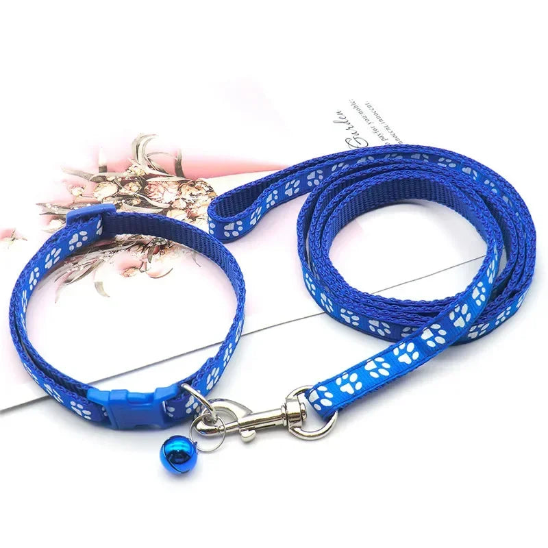 collier et laisse nylon 1,20m bleu