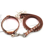 collier et laisse pour petit chien - Vignette | laisse pour chien. fr
