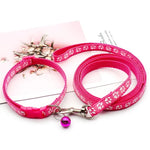 collier et laisse pour petit chien - Vignette | laisse pour chien. fr