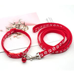 collier et laisse pour petit chien - Vignette | laisse pour chien. fr