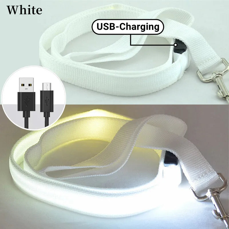 collier et laisse nylon lumineux USB blanc