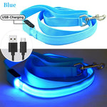 collier et laisse lumineuse pour chien - Vignette | laisse pour chien. fr