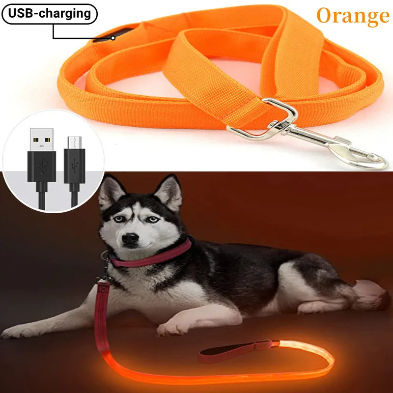collier et laisse nylon lumineux USB orange